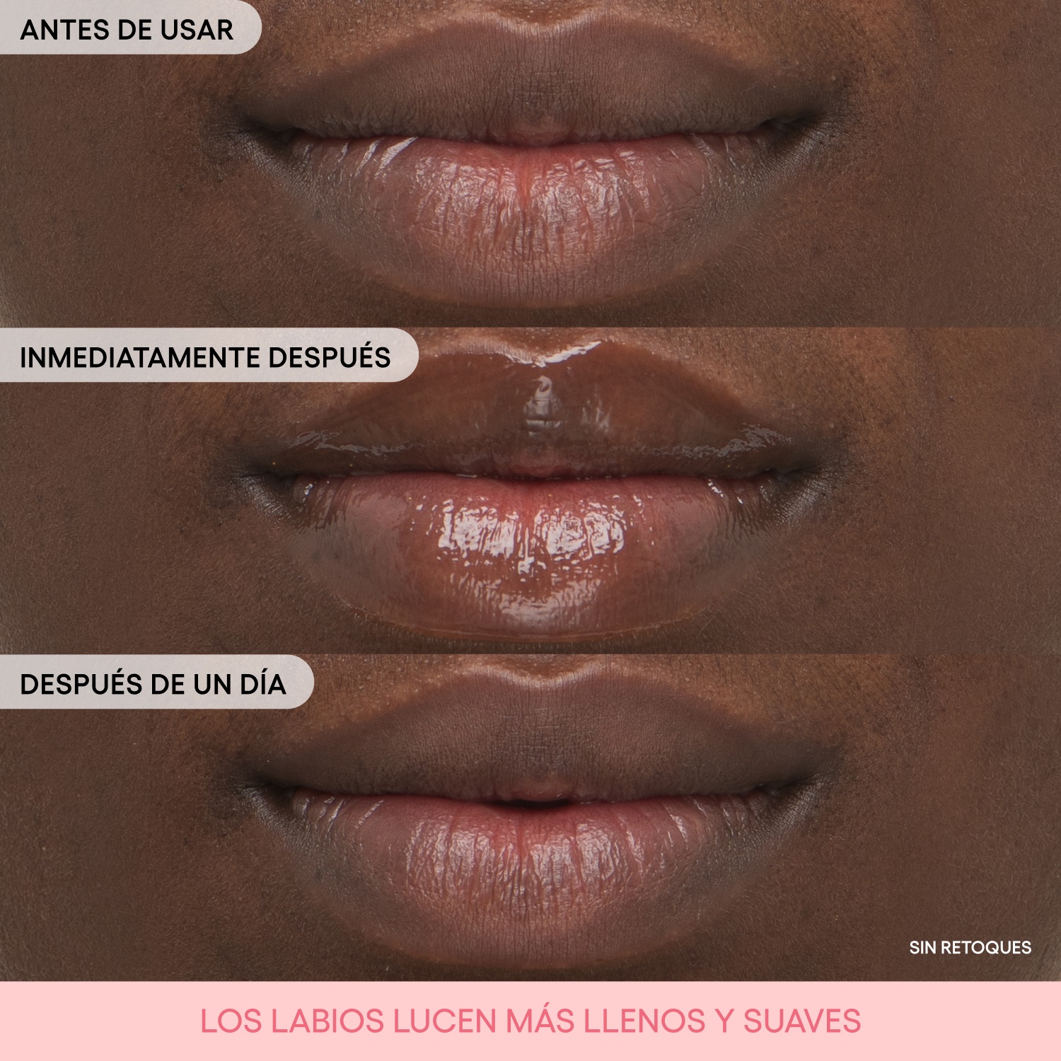 BOUNCY & FIRM LIP TREATMENT (TRATAMIENTO PARA LABIOS)